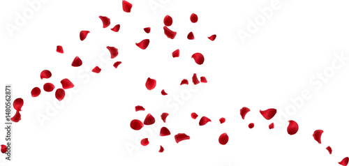 Organic beautiful aroma with red rose petals flying isolated element decorative