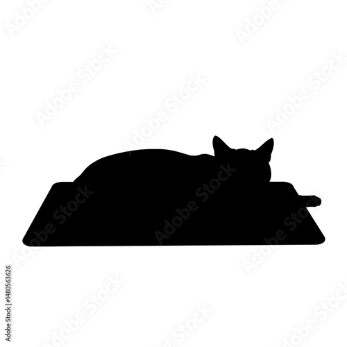 Silhouette of Cat Sleeping on Heating Pad Post-Surgery, Animal Recovery and Comfort Concept