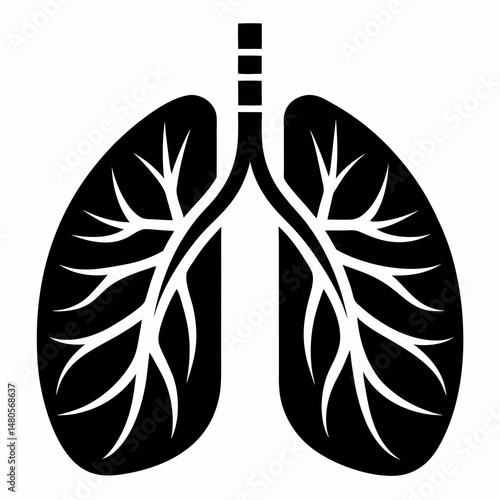 human lungs vector