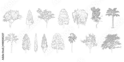Minimal style cad tree line drawing, Side view, set of graphics trees elements outline symbol for architecture and landscape design drawing. Vector illustration in stroke fill in white. Tropical, oak