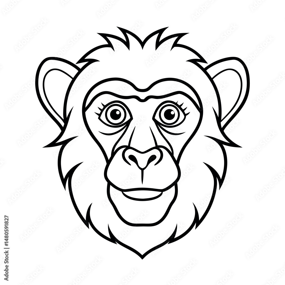 Simple Line Drawing of Baby Mandrill Face Vector Simple Line Drawing of Baby Mandrill Face Vector