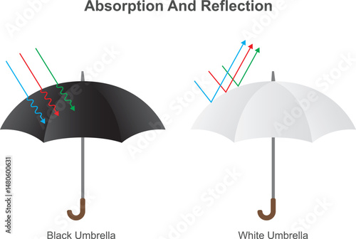Light absorption and light reflection. Black and white surfaces. Properties of light, physics illustration