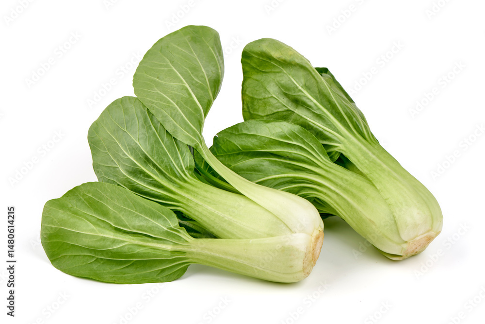 Fresh bok choy isolated on white background. Fresh bok choy isolated on white background.