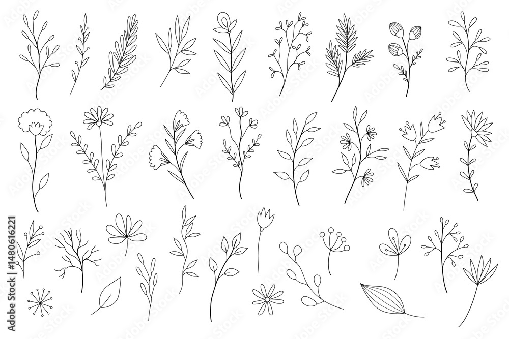 Fototapeta premium Hand drawn flower and branches doodle