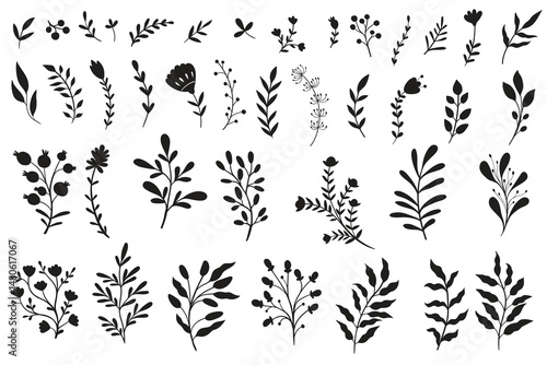 Vector set botanical illustration. Leaves and flowers set icons.