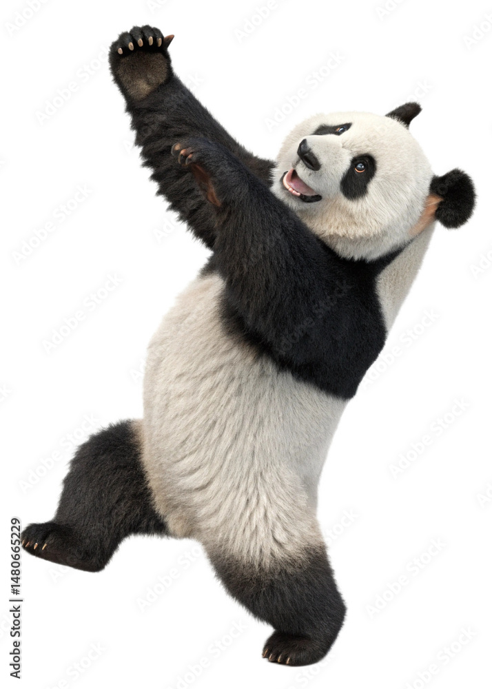 Fototapeta premium Funny Dancing Panda Illustration