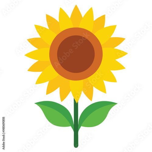 Bright yellow sunflower, a single floral beauty isolated on white