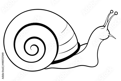 snail silhouette line art vector illustration with a white background