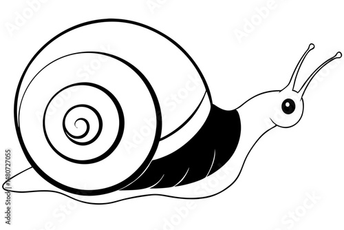 snail silhouette line art vector illustration with a white background