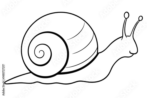 snail silhouette line art vector illustration with a white background