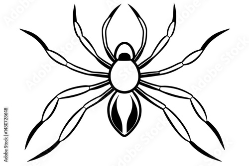 spider silhouette line art vector illustration with a white background