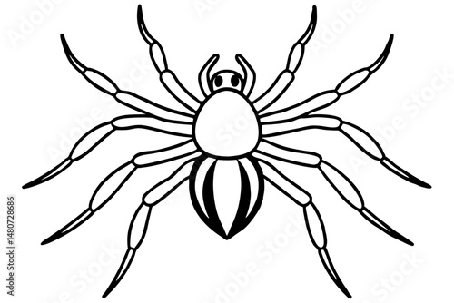 spider silhouette line art vector illustration with a white background