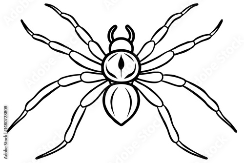 spider silhouette line art vector illustration with a white background