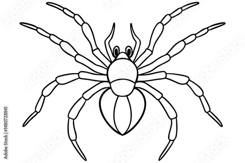 spider silhouette line art vector illustration with a white background