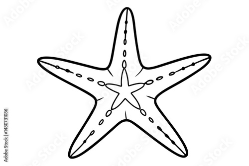 starfish silhouette line art vector illustration with a white background