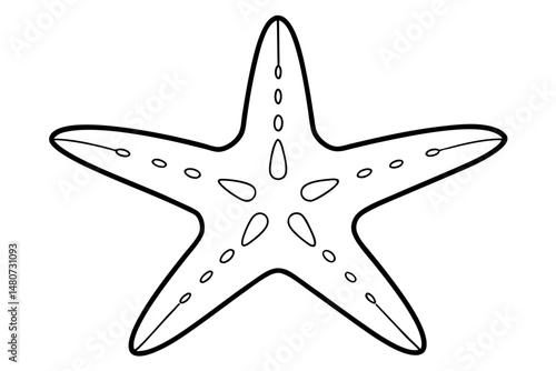 starfish silhouette line art vector illustration with a white background