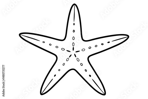 starfish silhouette line art vector illustration with a white background