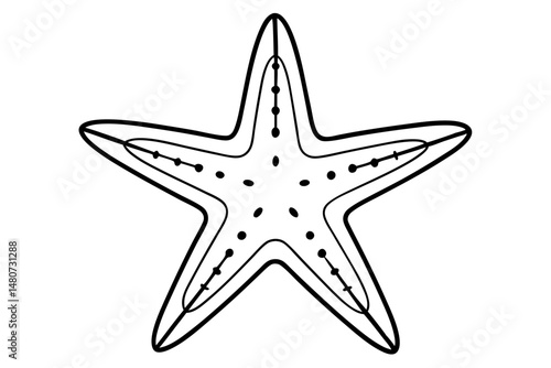 starfish silhouette line art vector illustration with a white background