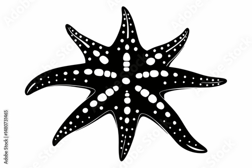 starfish silhouette line art vector illustration with a white background