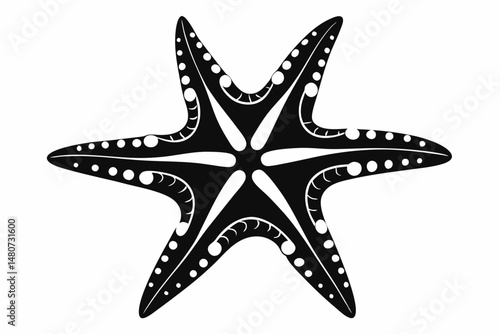 starfish silhouette line art vector illustration with a white background