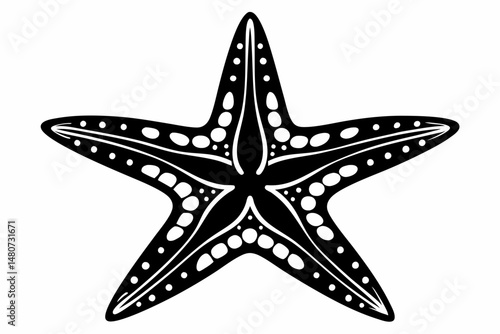 starfish silhouette line art vector illustration with a white background