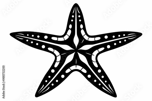 starfish silhouette line art vector illustration with a white background