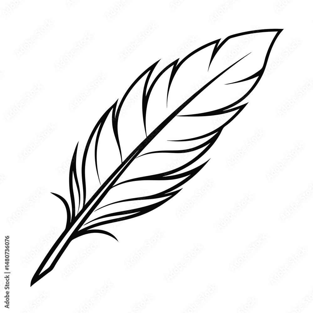 Obraz premium feather vector illustration