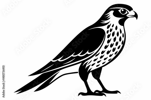 Bild auf Leinwand kestrel silhouette line art vector illustration with a white background