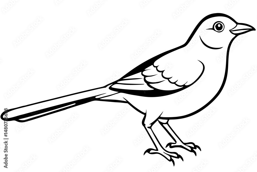 Obraz premium mockingbird silhouette line art vector illustration with a white background