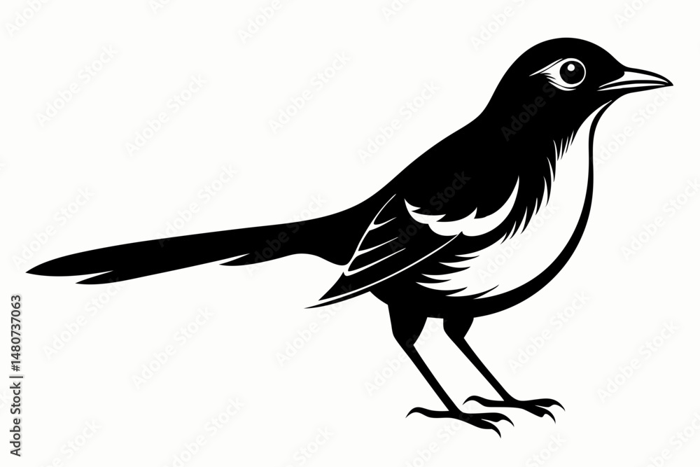 Fototapeta premium mockingbird silhouette line art vector illustration with a white background