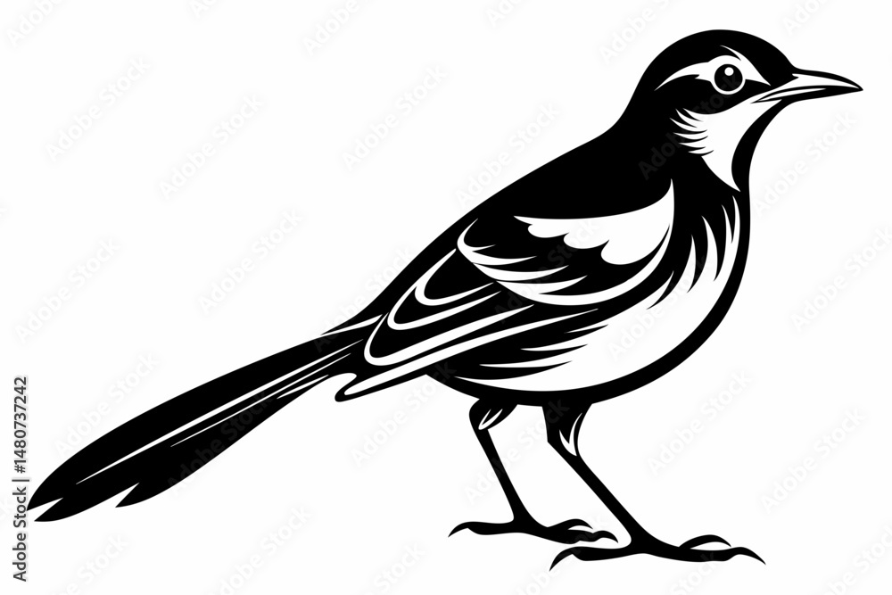 Obraz premium mockingbird silhouette line art vector illustration with a white background