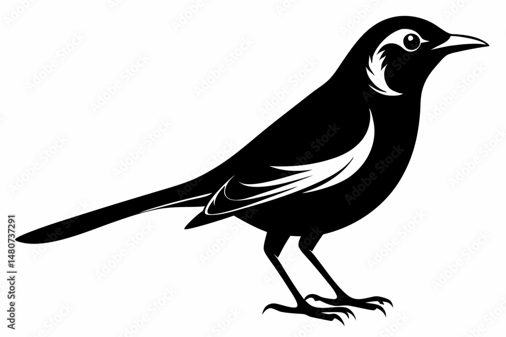 Fototapeta premium mockingbird silhouette line art vector illustration with a white background