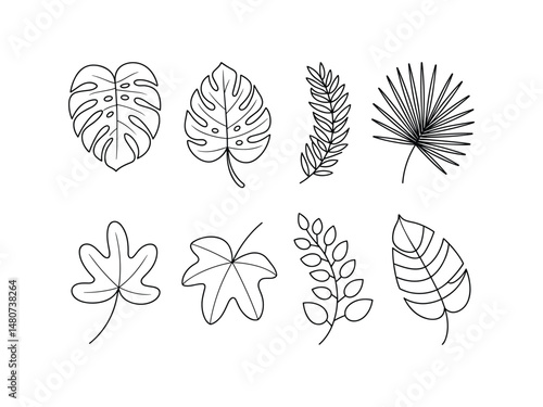 Hand drawn black and white leaf outlines isolated on white background for design