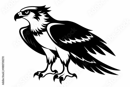 osprey silhouette line art vector illustration with a white background