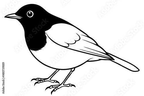 robin silhouette line art vector illustration with a white background