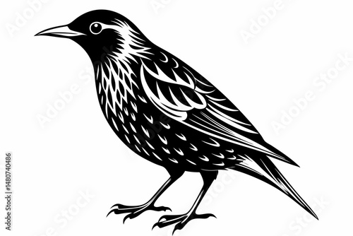 starling silhouette line art vector illustration with a white background