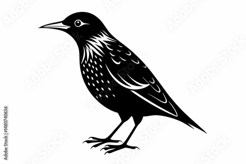 starling silhouette line art vector illustration with a white background