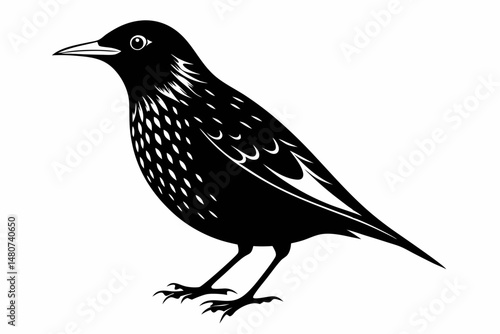starling silhouette line art vector illustration with a white background