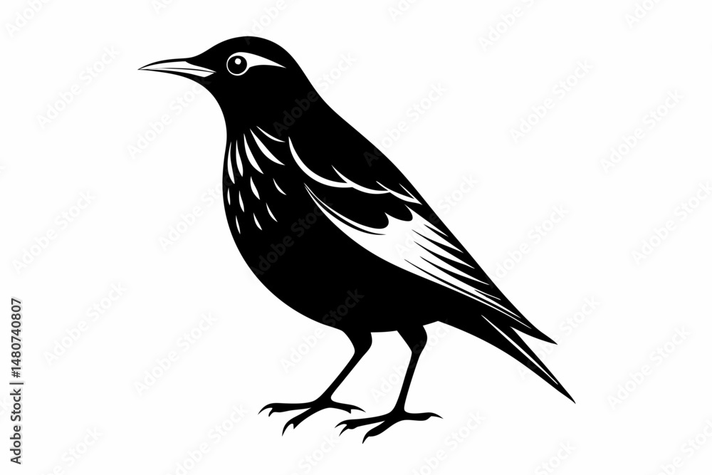 Fototapeta premium starling silhouette line art vector illustration with a white background