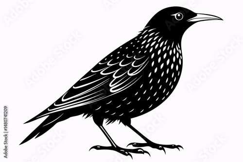 starling silhouette line art vector illustration with a white background