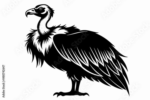 vulture silhouette line art vector illustration with a white background