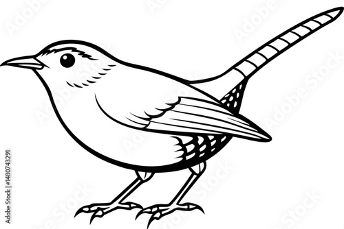 wren silhouette line art vector illustration with a white background