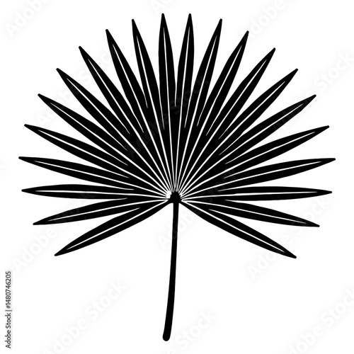 Elegant Palmetto Leaf Vector Illustration: Black and White Graphic for Tropical Design, Nature-Inspired Projects, and Decorative Botanical Art