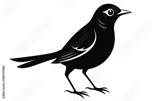 nightingale silhouette line art vector illustration with a white background