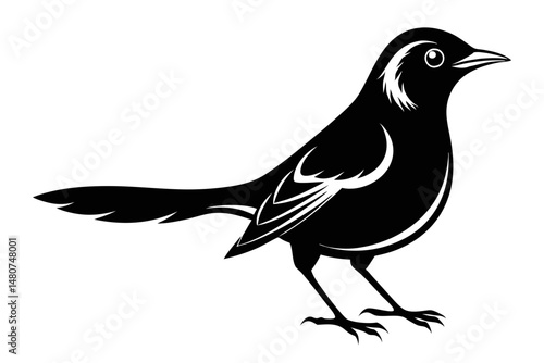 nightingale silhouette line art vector illustration with a white background