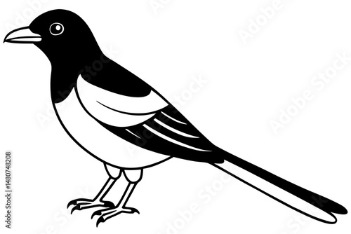 oriole silhouette line art vector illustration with a white background