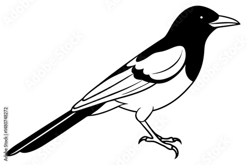 oriole silhouette line art vector illustration with a white background