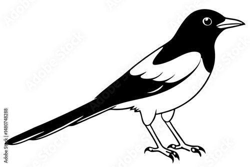 oriole silhouette line art vector illustration with a white background