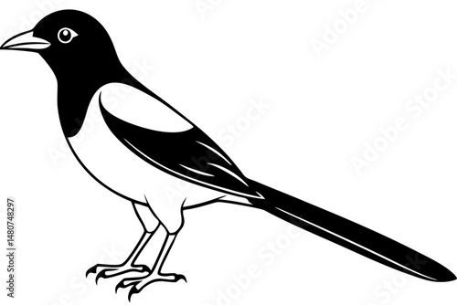 oriole silhouette line art vector illustration with a white background