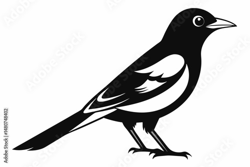 oriole silhouette line art vector illustration with a white background